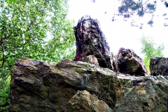 Černolické skály 14