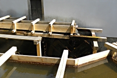 DSCN0595