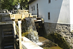 DSCN0601