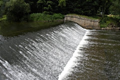 DSCN0647