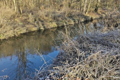 IMG_20250203_101729