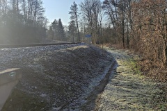 IMG_20250203_101744