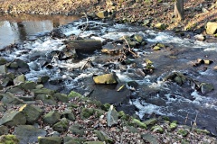 IMG_20250203_102125