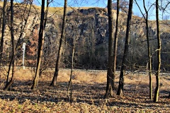 IMG_20250203_102537