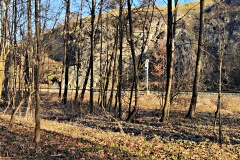 IMG_20250203_102539