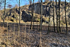 IMG_20250203_102628