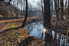 IMG_20250203_102732