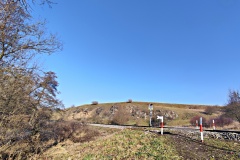 IMG_20250203_103118