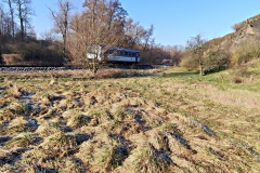 IMG_20250203_103406