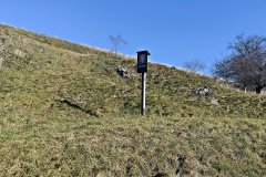 IMG_20250203_103911