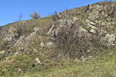 IMG_20250203_103914