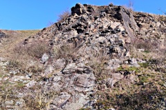 IMG_20250203_104009
