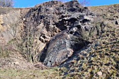 IMG_20250203_104038