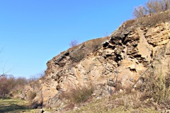 IMG_20250203_104056