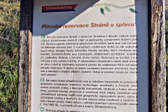 IMG_20250203_104244