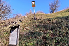 IMG_20250203_104251