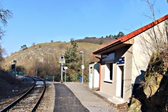 IMG_20250203_105837