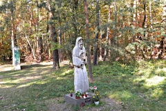 DSCN1274