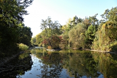 DSCN1284