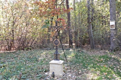 DSCN1298