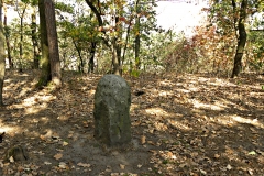 DSCN1301