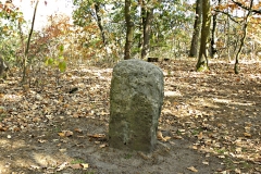 DSCN1305