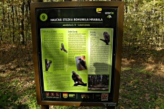 DSCN1312