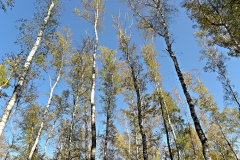 DSCN1318