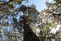 DSCN1332