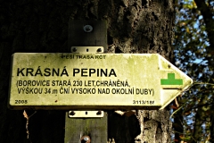 DSCN1343