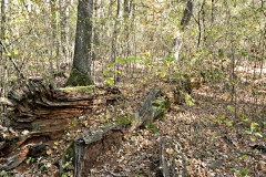 DSCN1346