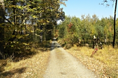 DSCN1358