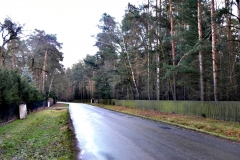 Kersko 34