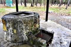 Kersko 7