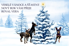 Fotografie speciální ROYAL VERA 2