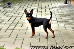 Fotografie speciální ROYAL VERA 7