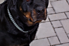 Betina 2