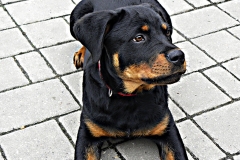 DSCN0754