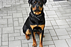 DSCN1160