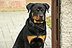 DSCN1176