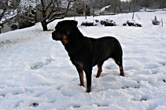 DSCN1400