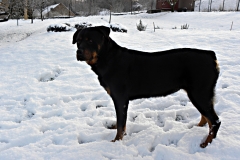 DSCN1403