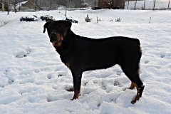 DSCN1404