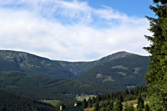 DSCN1031