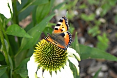 DSCN4748