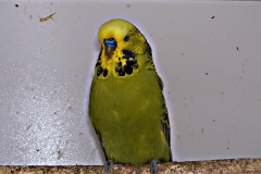 100_1894