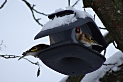 DSC00270
