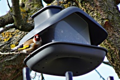 DSC00321
