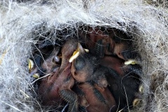 IMG_20250506_123524