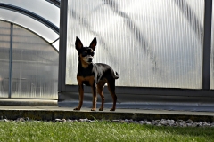 DSCN0389